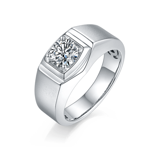 Two Diamond Row Men's CVD Diamond Ring - Matte Surface - supskart